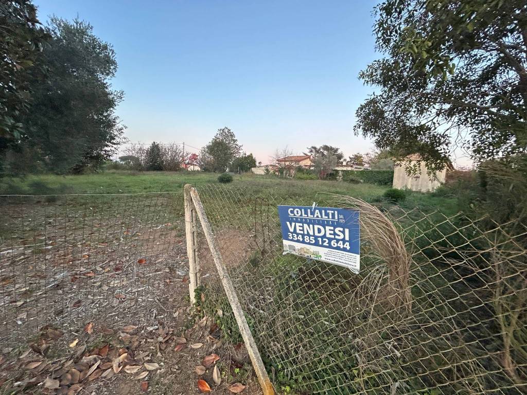 immagine annuncio 10 di 15