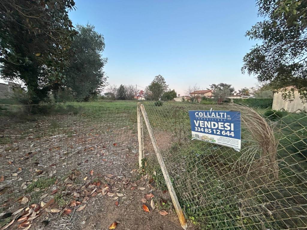 immagine annuncio 12 di 15