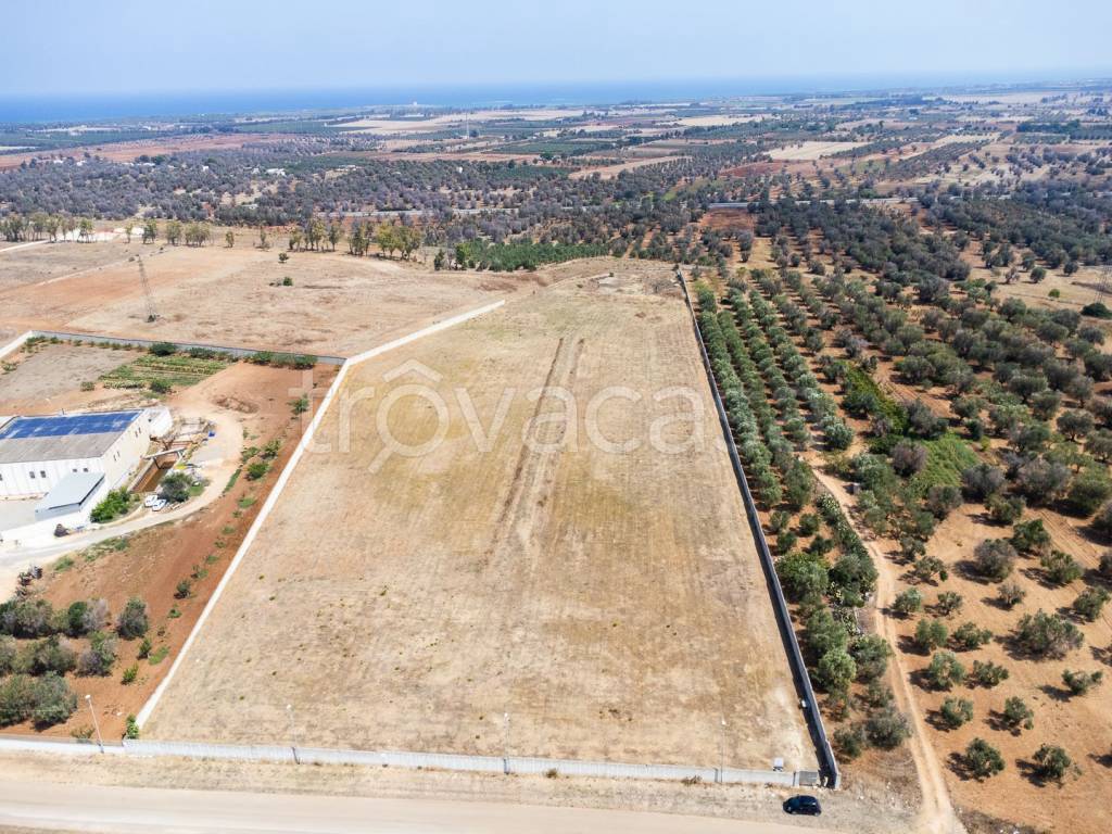 immagine annuncio 8 di 14