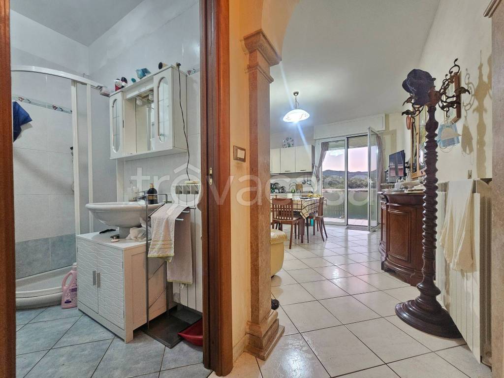 immagine annuncio 9 di 14