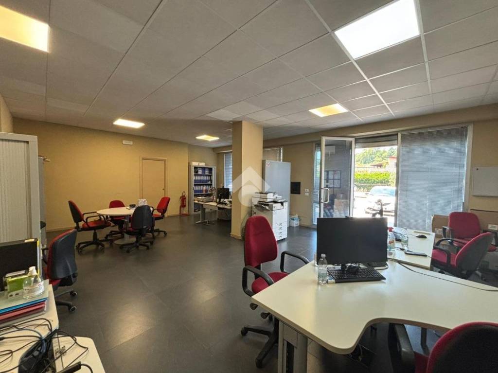 immagine annuncio 1 di 12