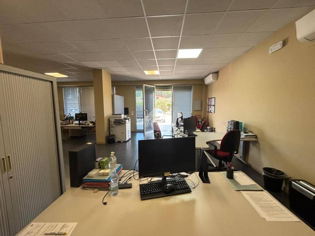 immagine annuncio 2 di 12