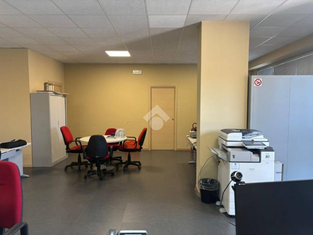 immagine annuncio 3 di 12