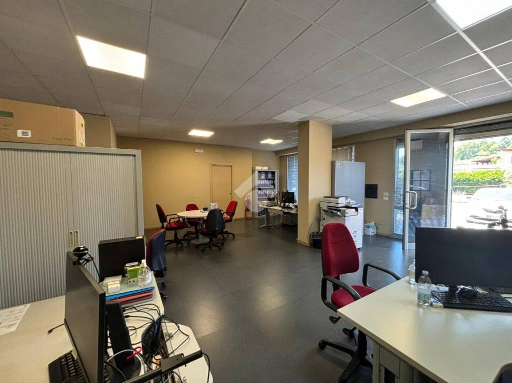 immagine annuncio 5 di 12