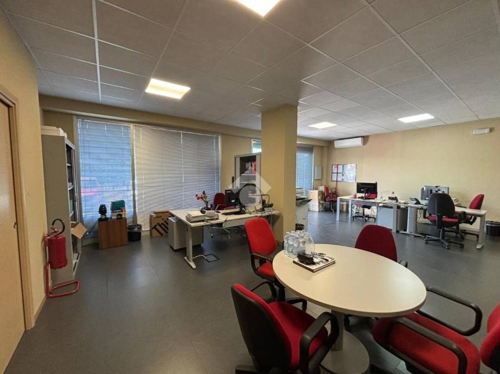 immagine annuncio 6 di 12