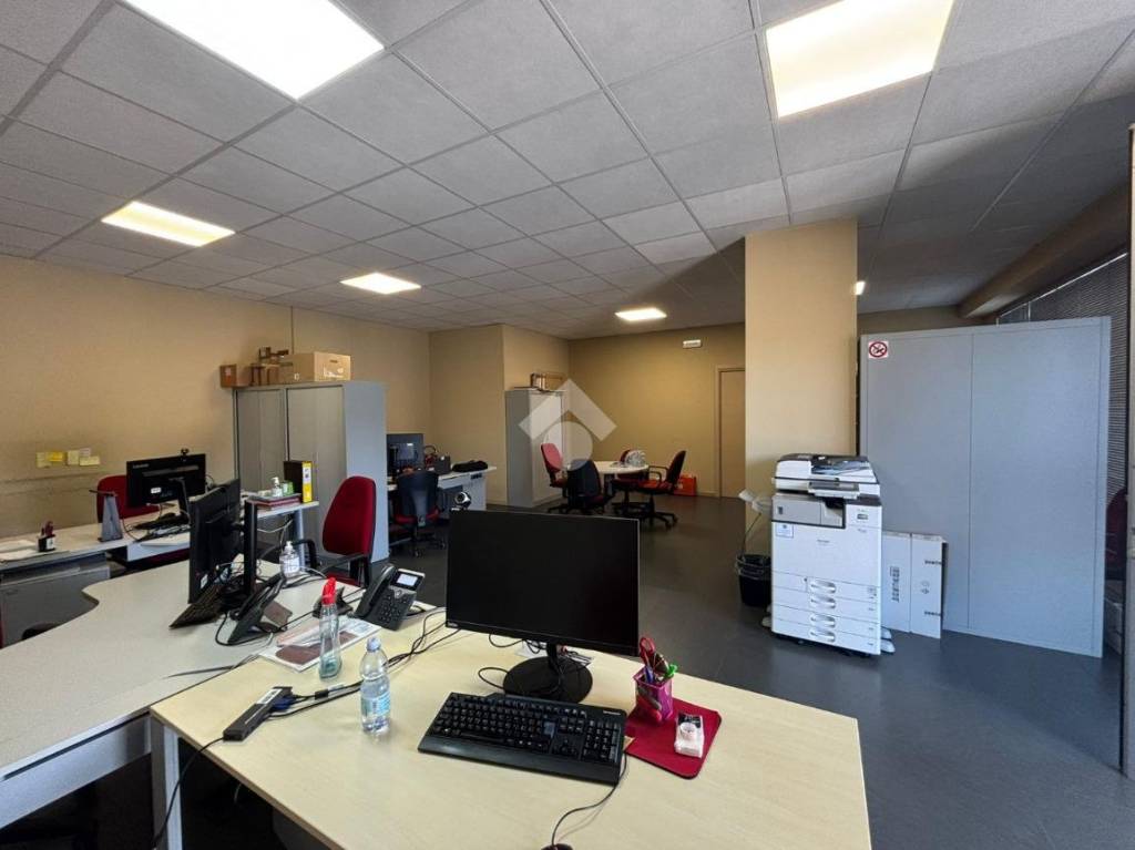 immagine annuncio 7 di 12