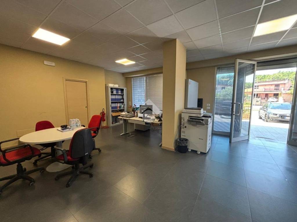 immagine annuncio 8 di 12