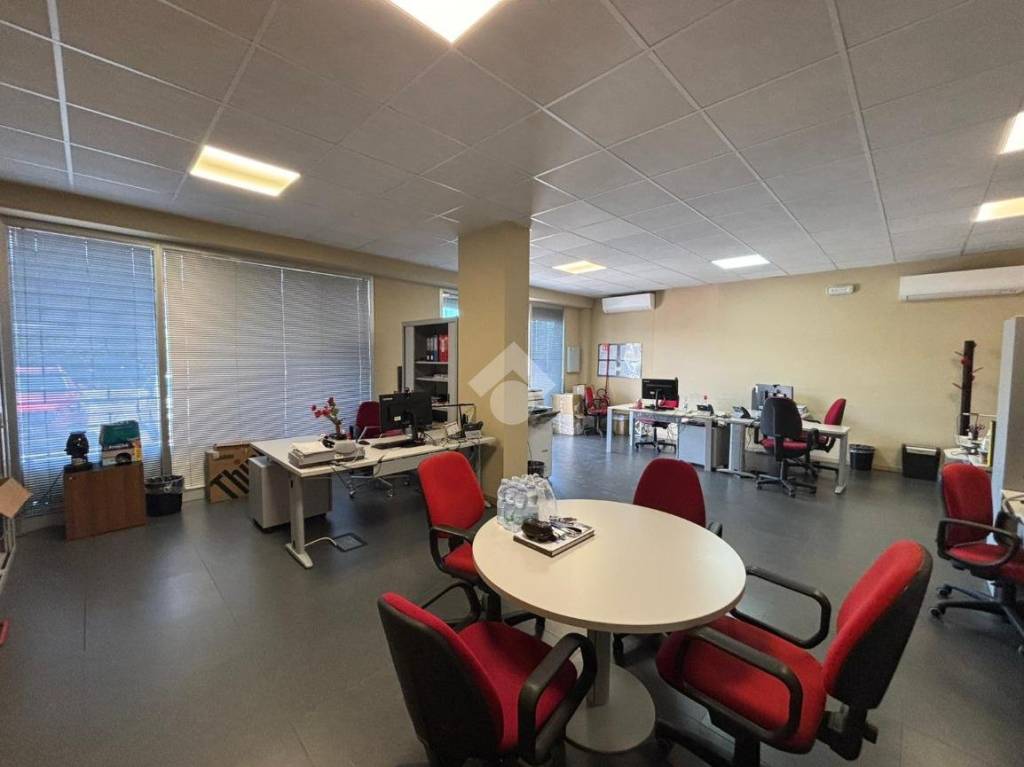 immagine annuncio 9 di 12