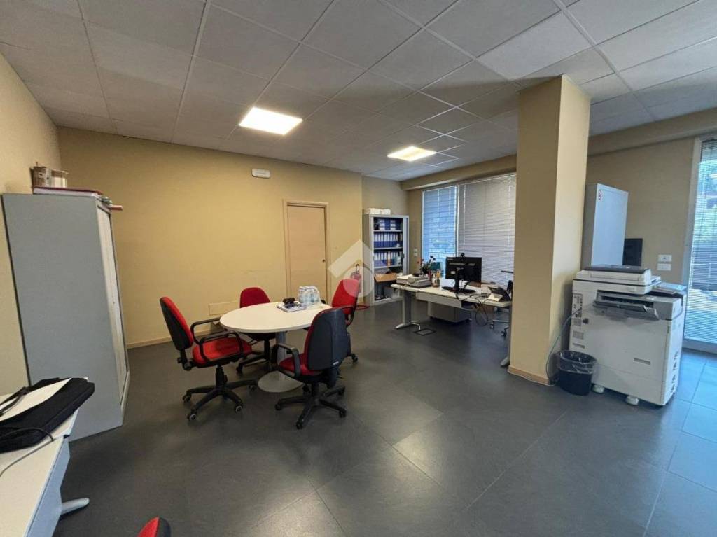 immagine annuncio 10 di 12