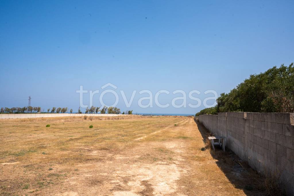 immagine annuncio 10 di 14