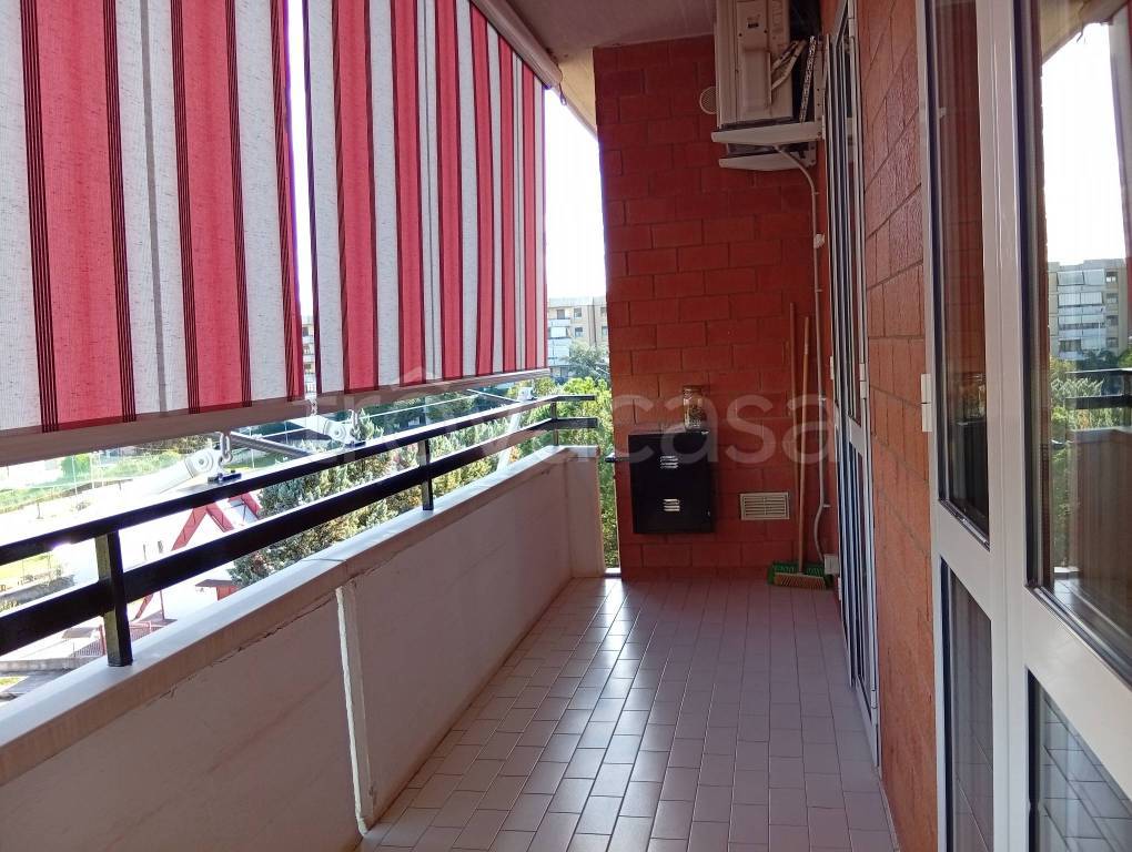 immagine annuncio 12 di 15