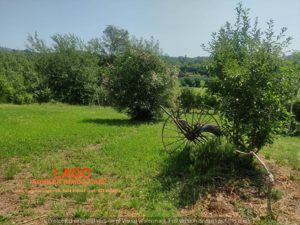 immagine annuncio 1 di 7