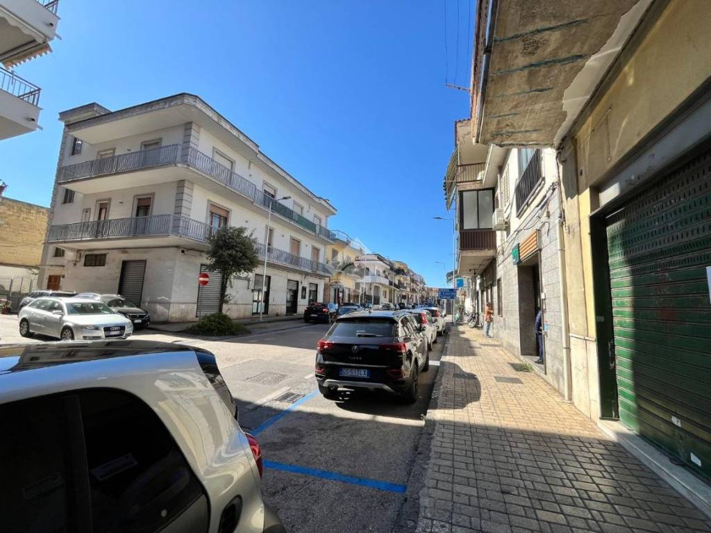 immagine annuncio 6 di 12