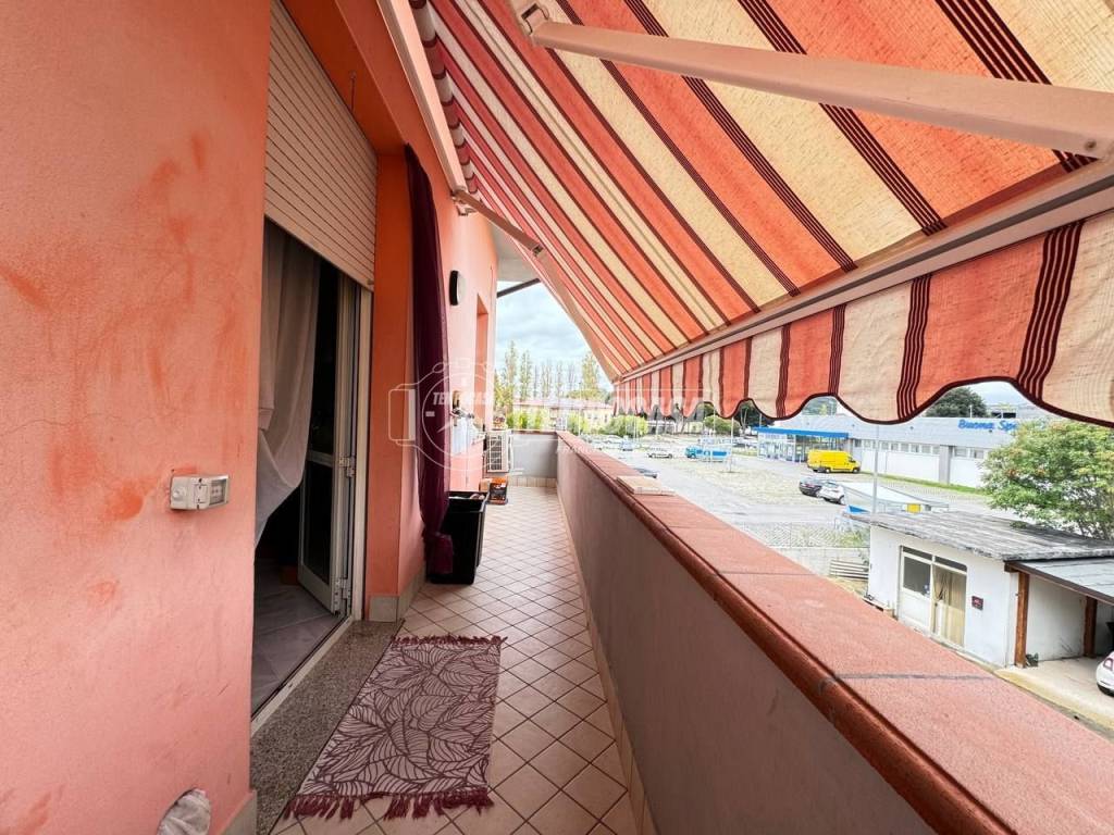 immagine annuncio 6 di 15