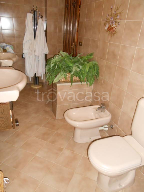 immagine annuncio 10 di 14