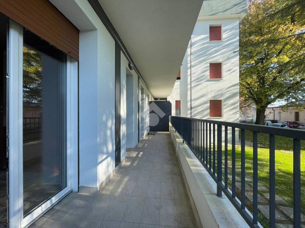 immagine annuncio 5 di 6