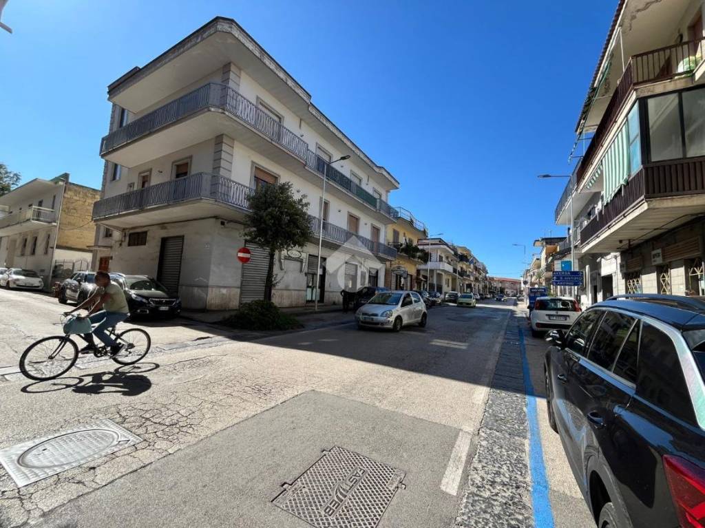 immagine annuncio 5 di 11