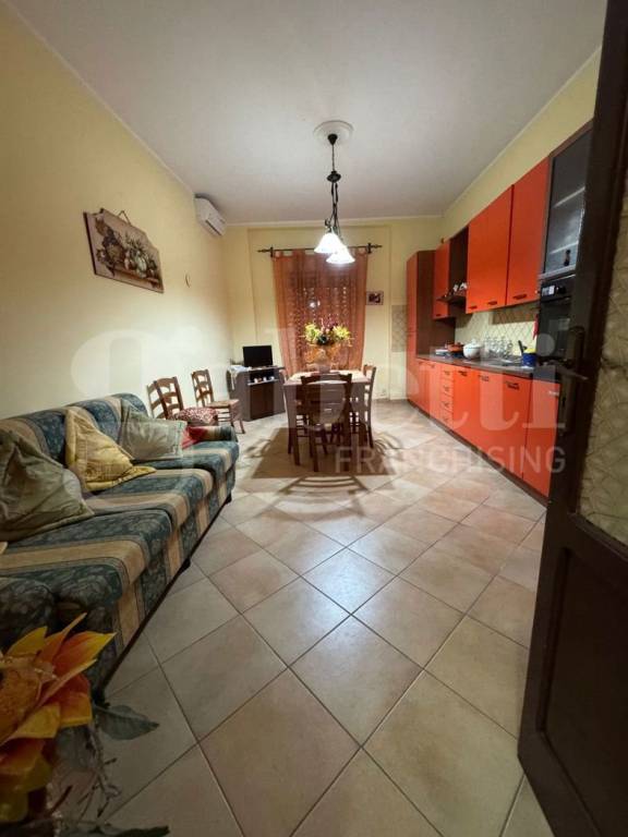 immagine annuncio 11 di 14