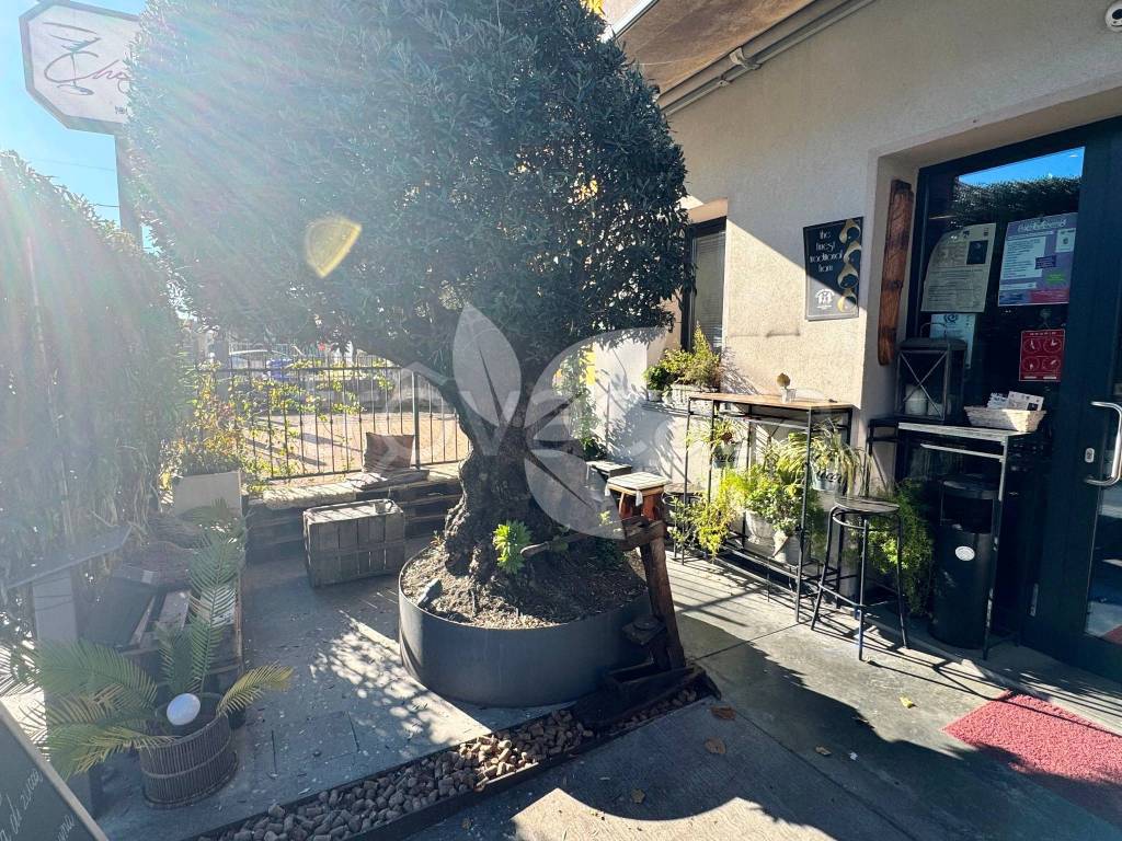 immagine annuncio 9 di 12