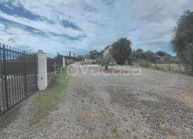 immagine annuncio 4 di 13