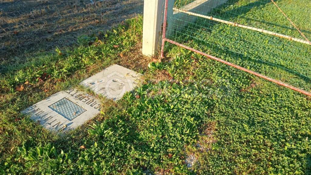 immagine annuncio 2 di 6