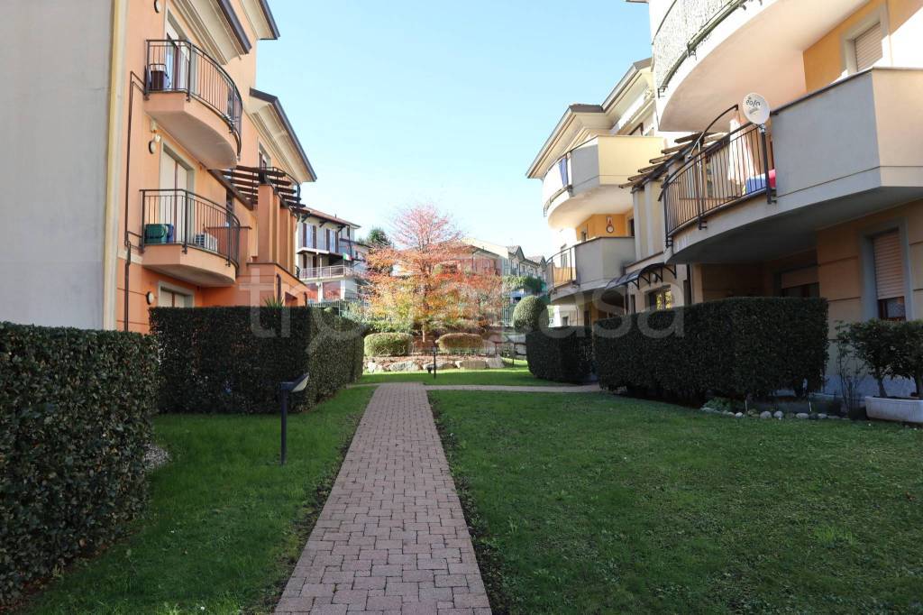 immagine annuncio 5 di 15