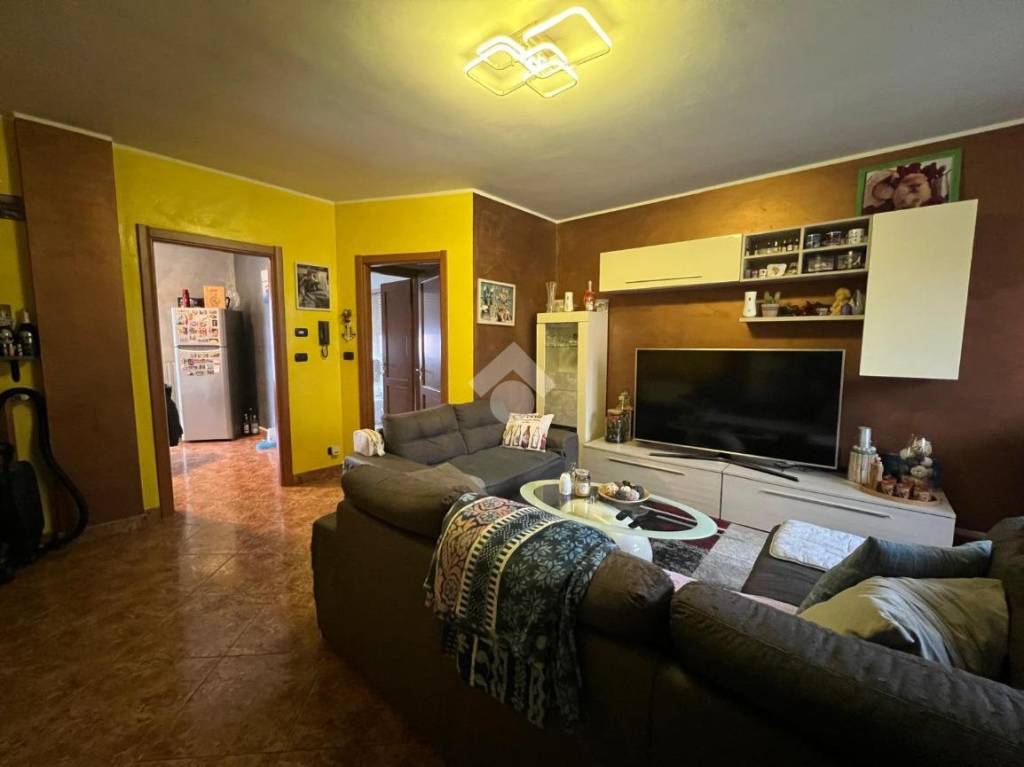 immagine annuncio 1 di 14