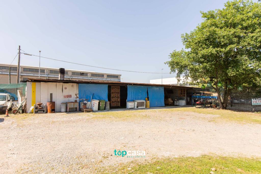 immagine annuncio 10 di 15