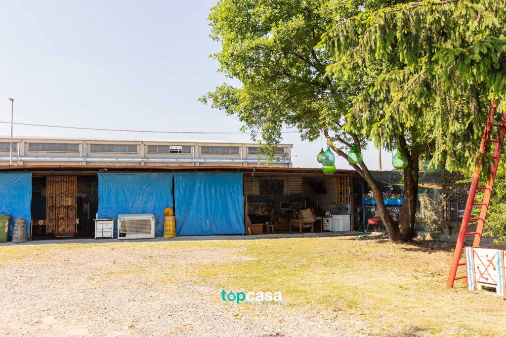 immagine annuncio 11 di 15