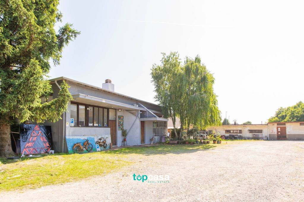 immagine annuncio 12 di 15