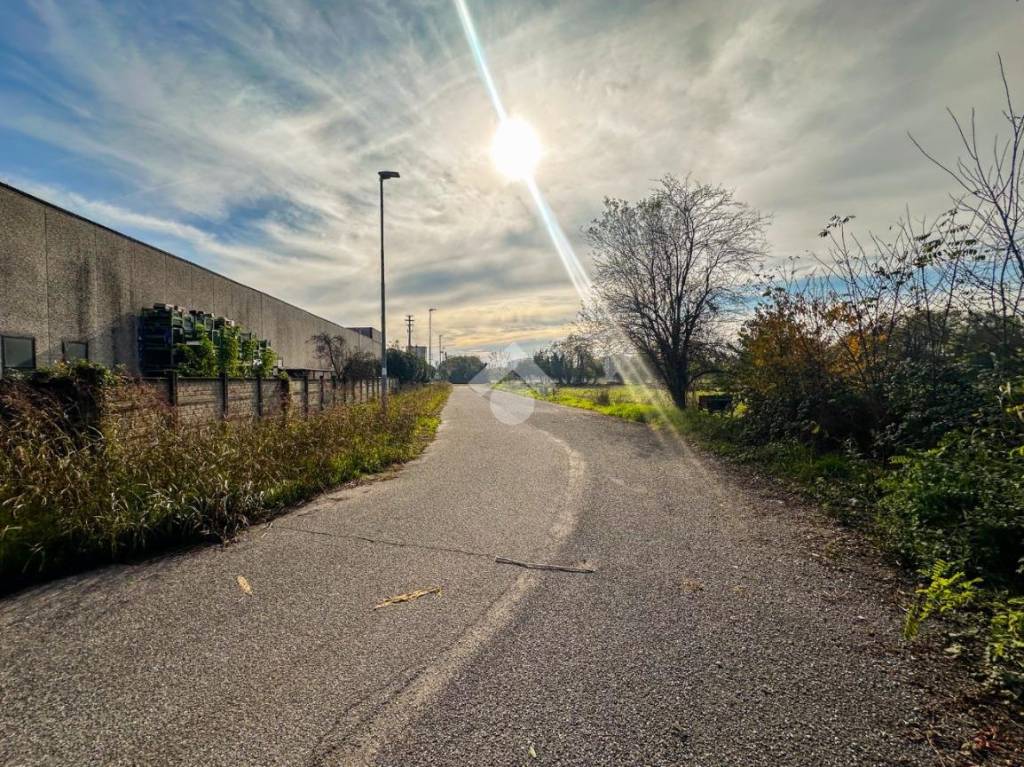 immagine annuncio 8 di 15