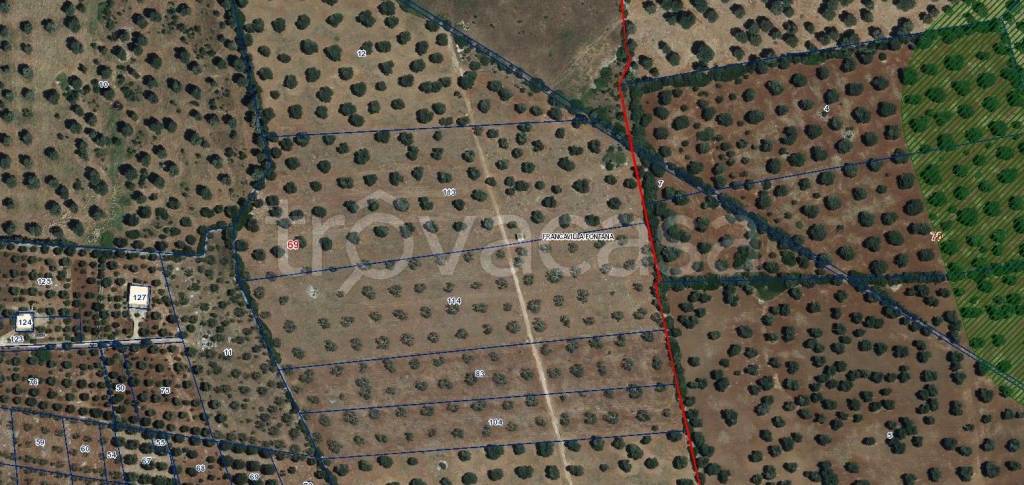 immagine annuncio 1 di 2