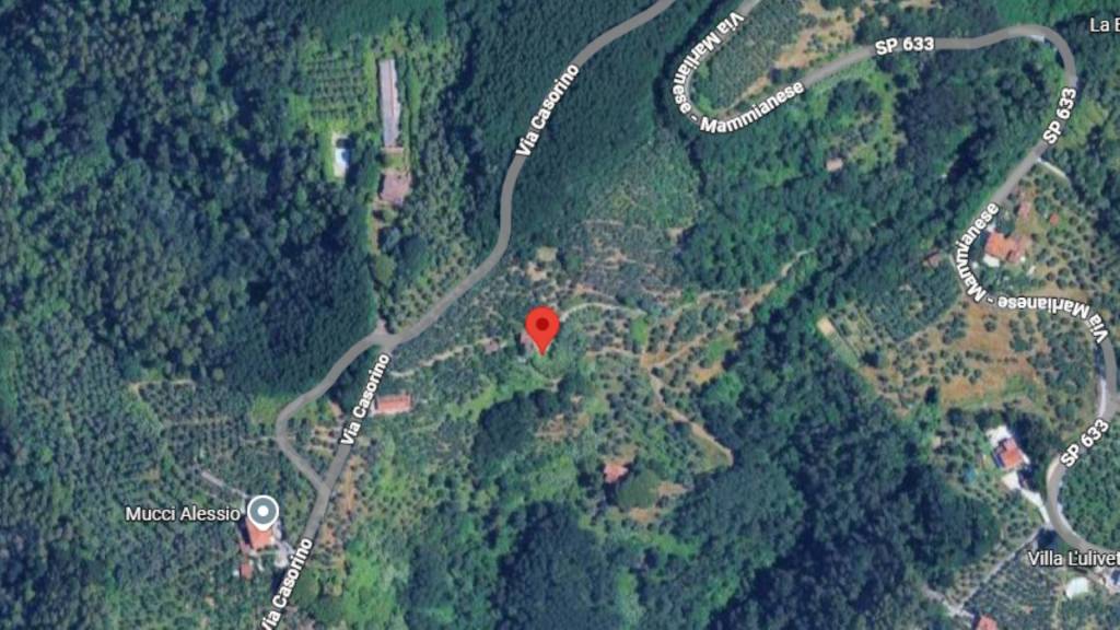 immagine annuncio 9 di 11