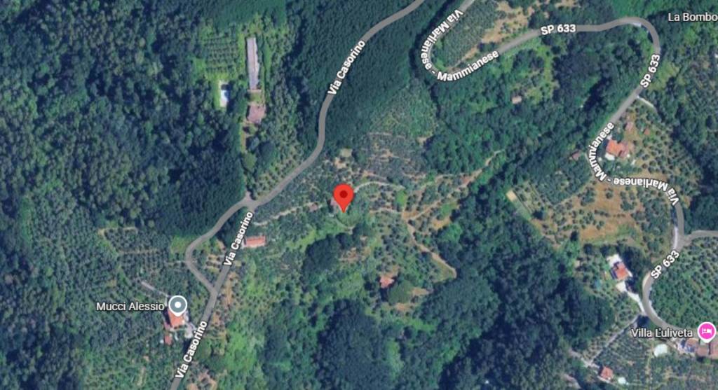 immagine annuncio 10 di 11