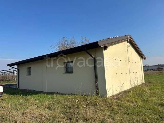 immagine annuncio 3 di 11