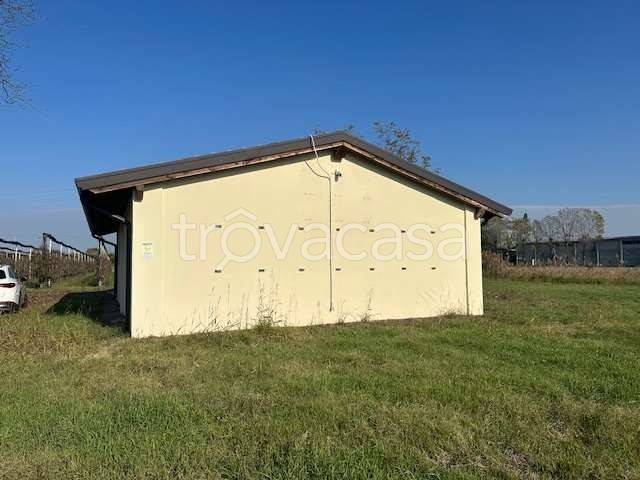 immagine annuncio 4 di 11