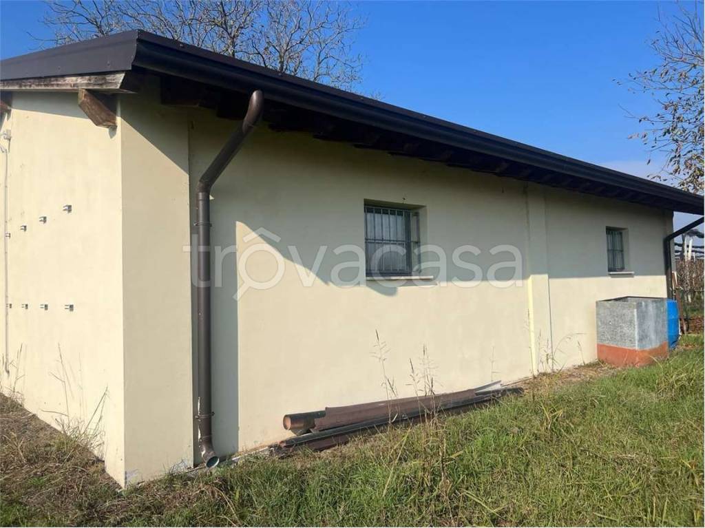 immagine annuncio 5 di 11