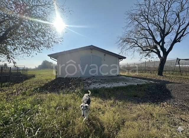 immagine annuncio 10 di 11