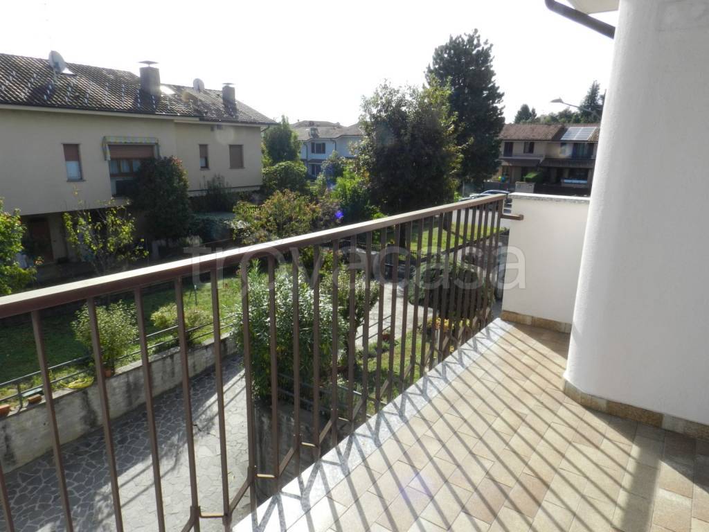 immagine annuncio 7 di 14