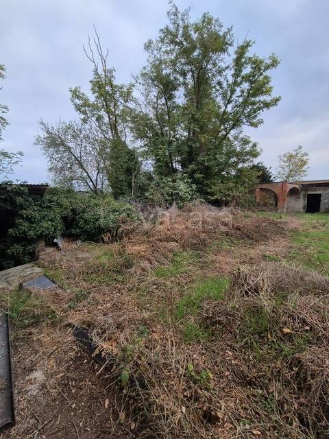 immagine annuncio 5 di 12