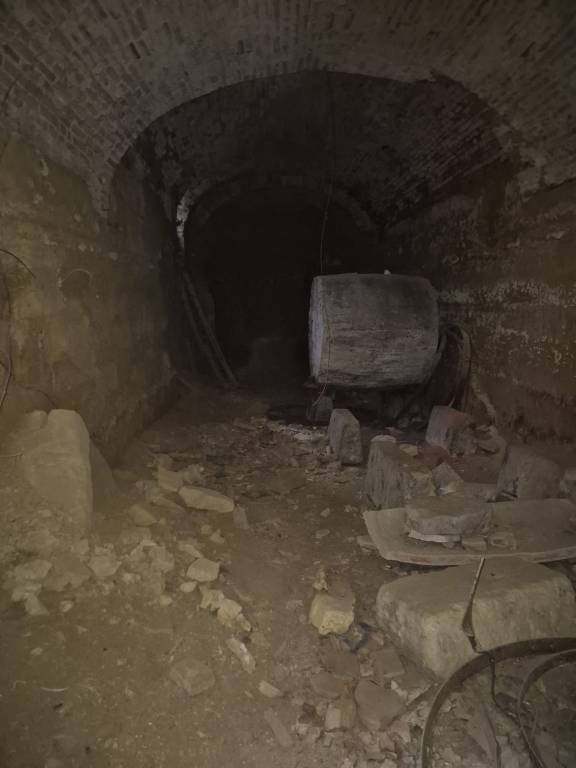 immagine annuncio 10 di 12