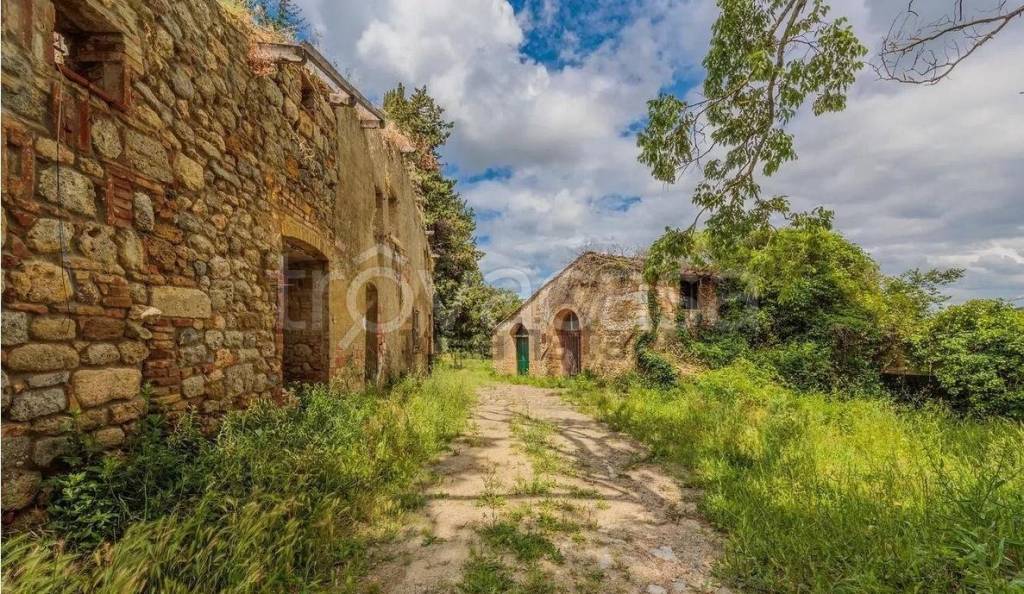 immagine annuncio 4 di 13