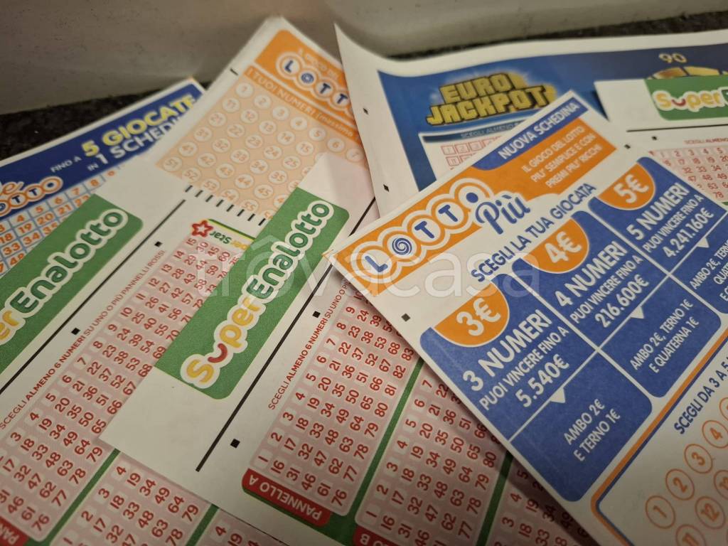 immagine annuncio 6 di 15