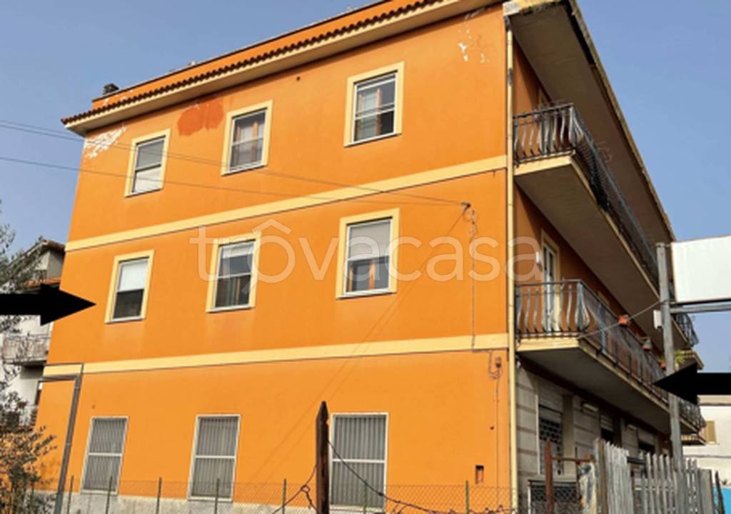 immagine annuncio 3 di 11