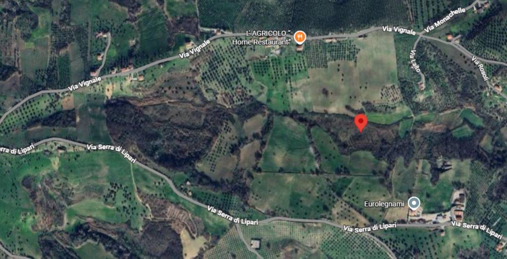 immagine annuncio 4 di 10