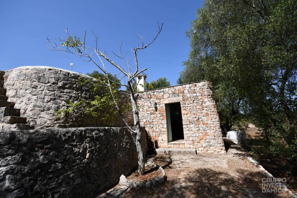 immagine annuncio 1 di 9