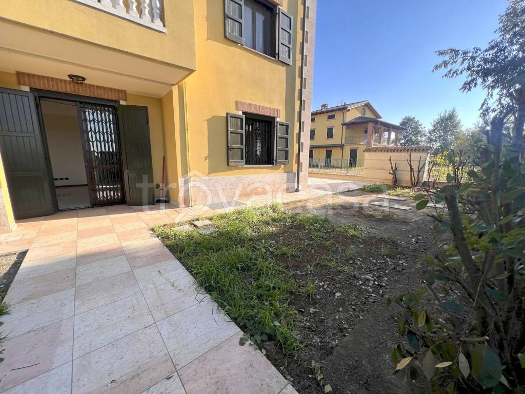 immagine annuncio 11 di 14