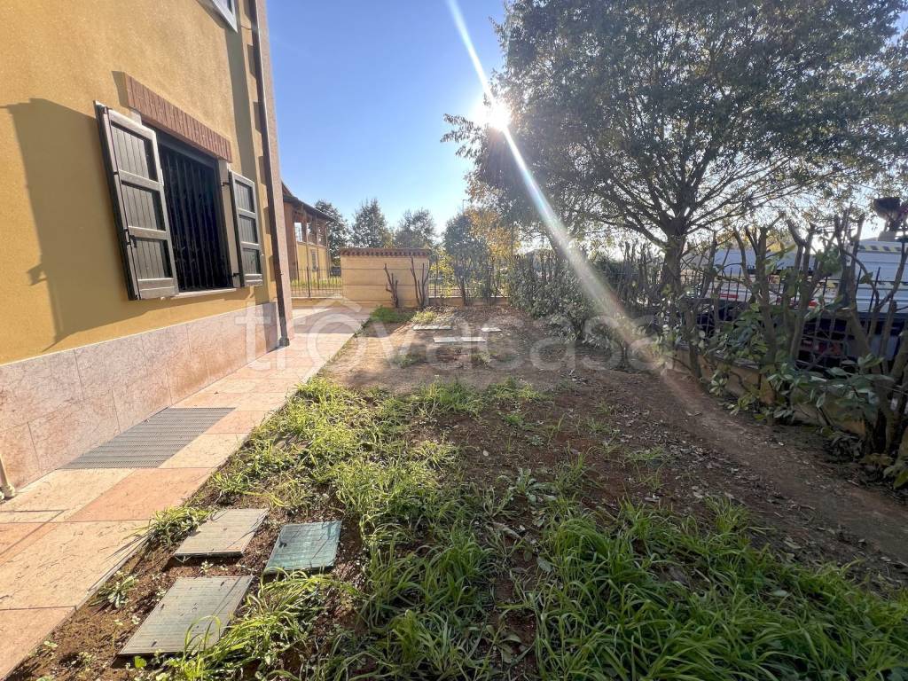 immagine annuncio 12 di 14