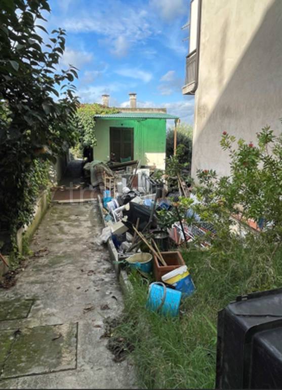 immagine annuncio 4 di 12