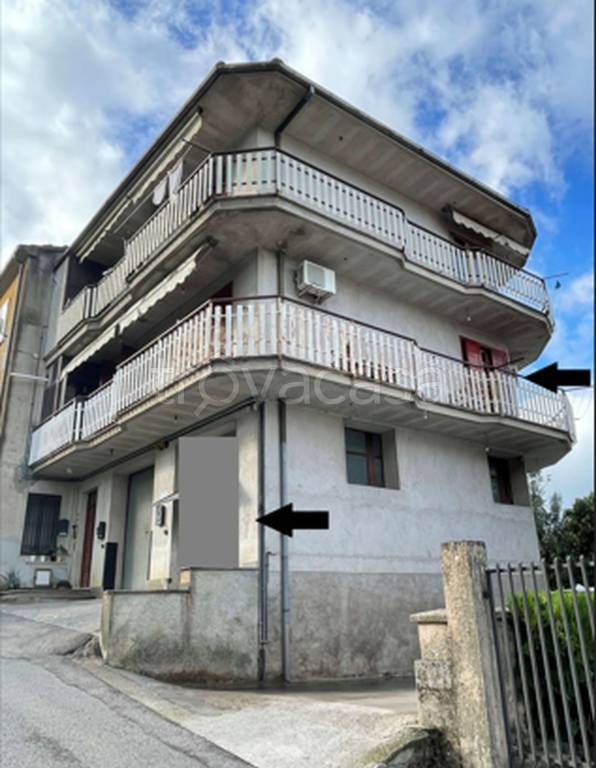 immagine annuncio 11 di 12